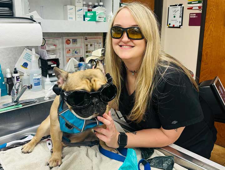 Laser Therapy for Pets